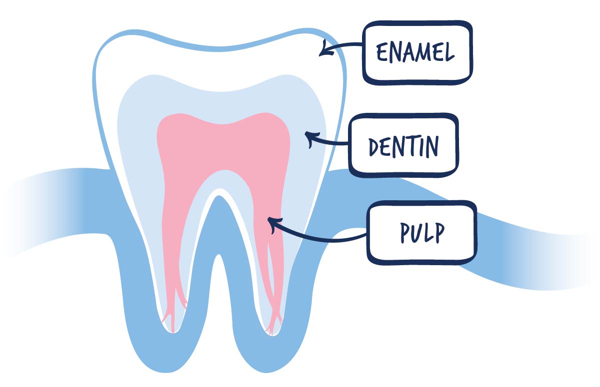 GentleWave Procedure