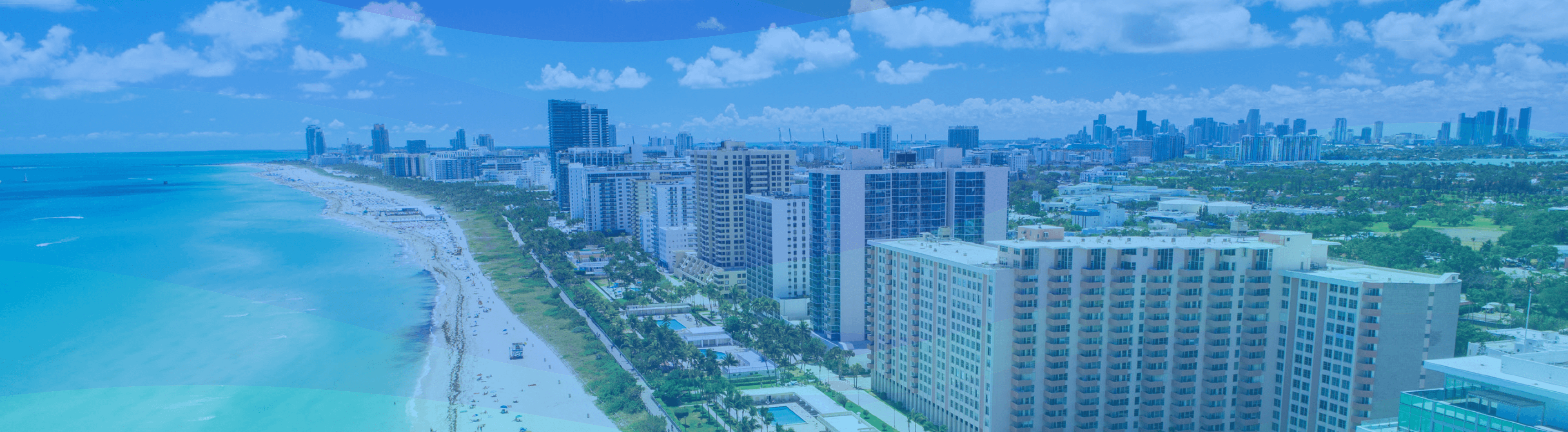 The Endodontic Forum